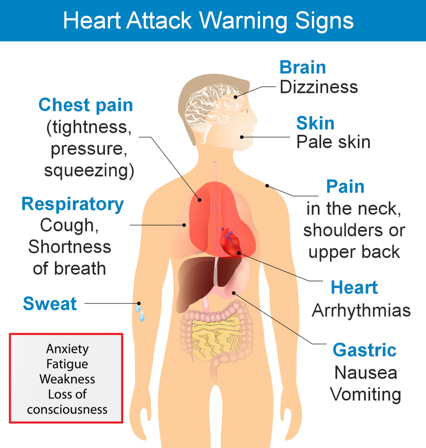 heart attack, heart attack symptoms, heart attack warning signs and care, heart attack warning signs