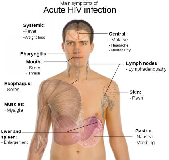 Pathogens CPR Certification Online FirstAid Training Class