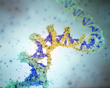 What is Amyotrophic Lateral Sclerosis - ALS?