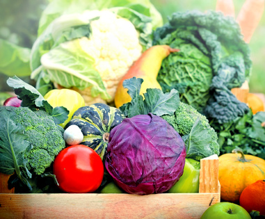 What are Eating Disorders?, Signs, Treatment, Symptoms, Prevention, What, are, Eating, Disorders